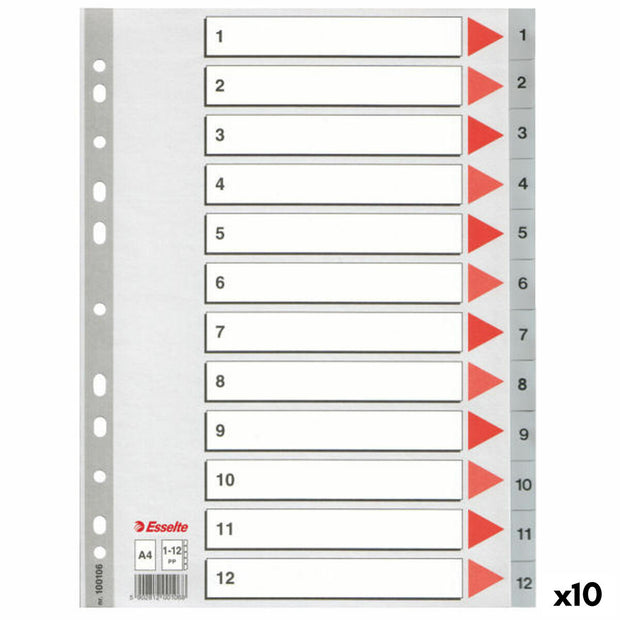 Seperators Esselte Numbered Grey A4 12 Sheets (10 Units)