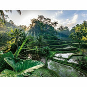 V2H49028C0E88F42E0BB9209DCBF5FA265ER5803147P2