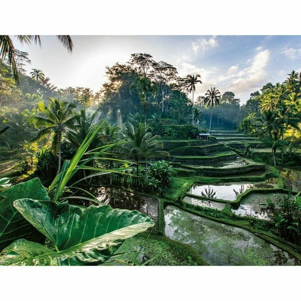 V2H49028C0E88F42E0BB9209DCBF5FA265ER5803147P2