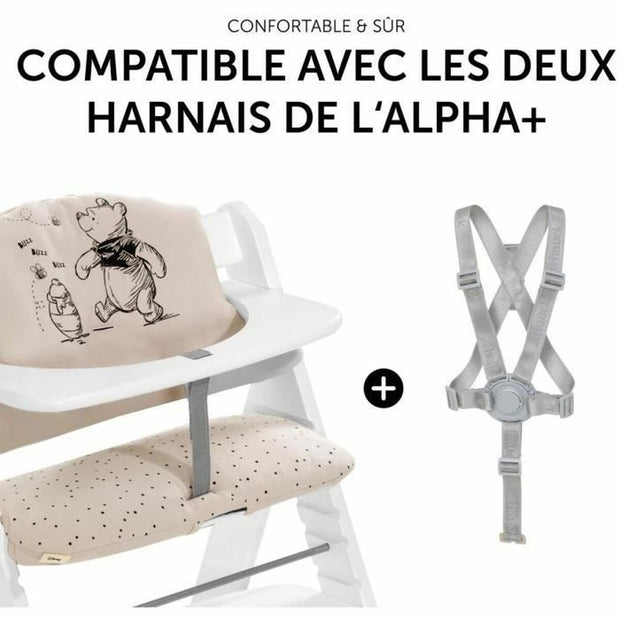 V3H8654AFA3405CD42FDE3DA25E41038713R7058055P6