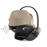 V3H03BBDD5F7BA4672E44CCB5E180F7EA85R6779205P5