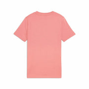 V3HDD1CAF63339ED3981314527501B49573R6088232P2