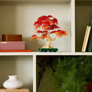 V4H4B579E0B5476B10BEFE4B1B09E68FC1DR6414225P3