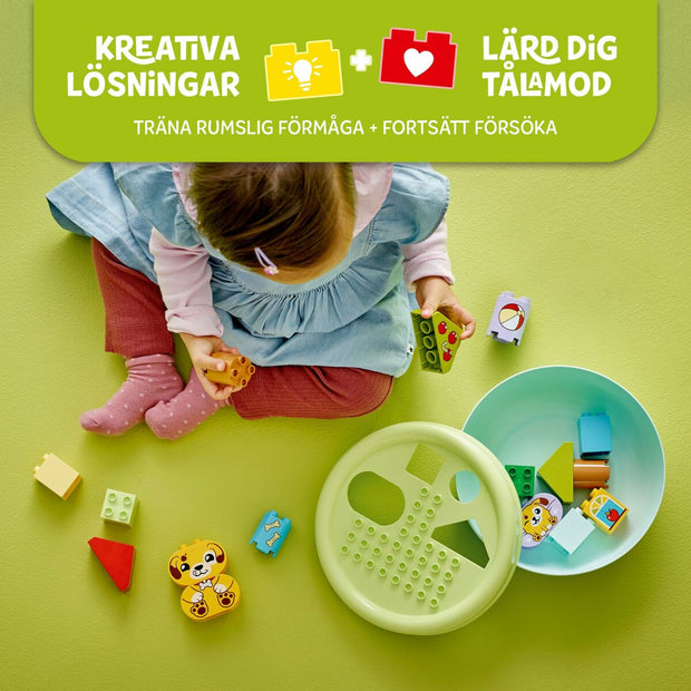 V3HAA5A8D3A9E8551CB99BBE9F2D9BC6BA5R5844944P9