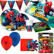 Party supply set Spider-Man 66 Pieces