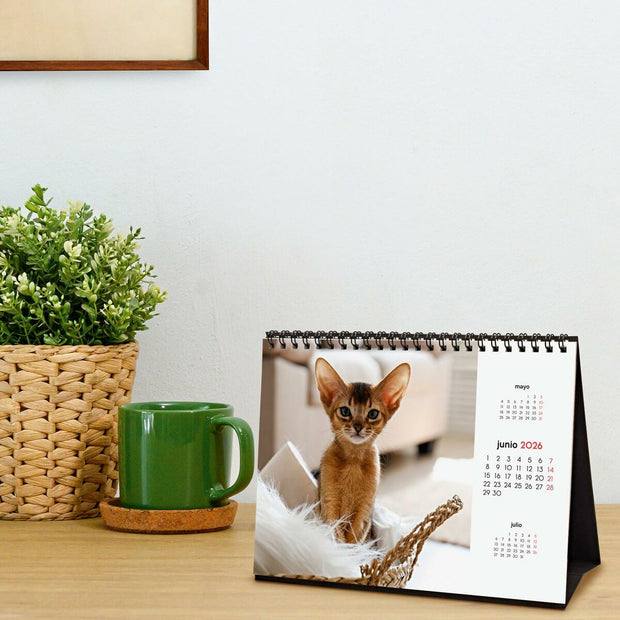 V4HE769349AD27F140C24B0E7E46991BF36R7229499P3