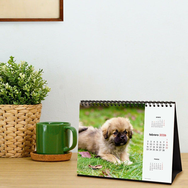 V4HCF80F7EEA43239657D4C71AF4C990454R7229889P3