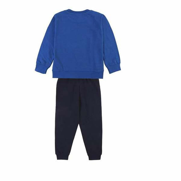 V2H3BA23EA164A2C8518ADECA176999090BR5613970P2