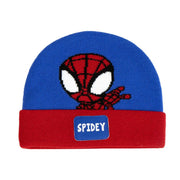 V4H1E2FEBF98982B8D3C5AC603BF6919D1ER5063640P1