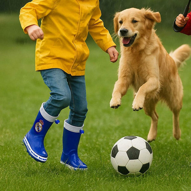 V3HCCE7B4798D06C08FF3E64EA7B81ACC52R6468040P8