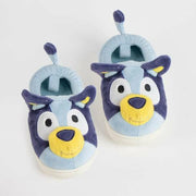 V4H6A22C5169B1C68844EDD1CA8635C932AR7253491P3