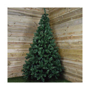 Christmas Tree EDM 680314 Pinewood