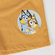 V5HE6DF99F4BDD485786AECC7A8C041CB50R5555677P4