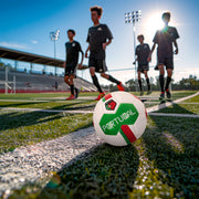 V3H08181AAE32941D0E717FF5724D4CE17BR7516521P3