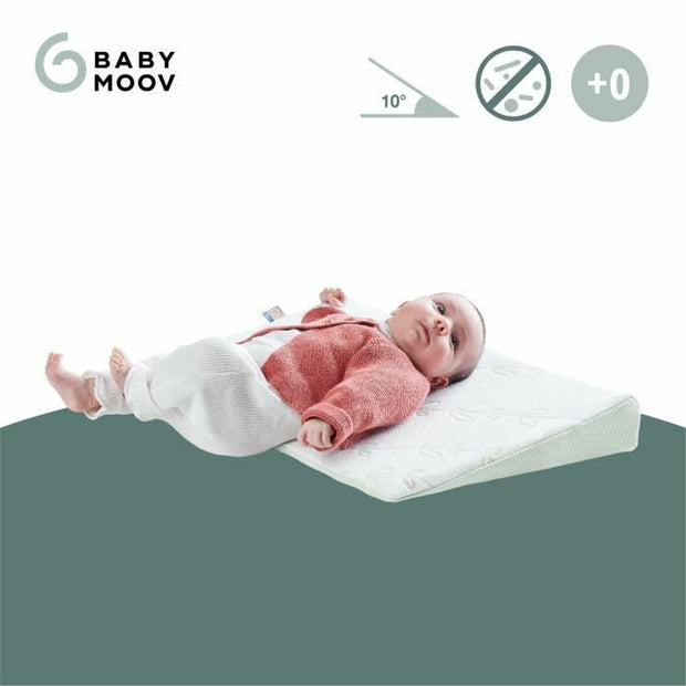 Cushion Babymoov A050014